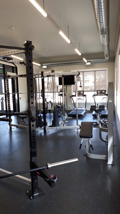 A gym with a squat rack, weight bench, and other equipment.