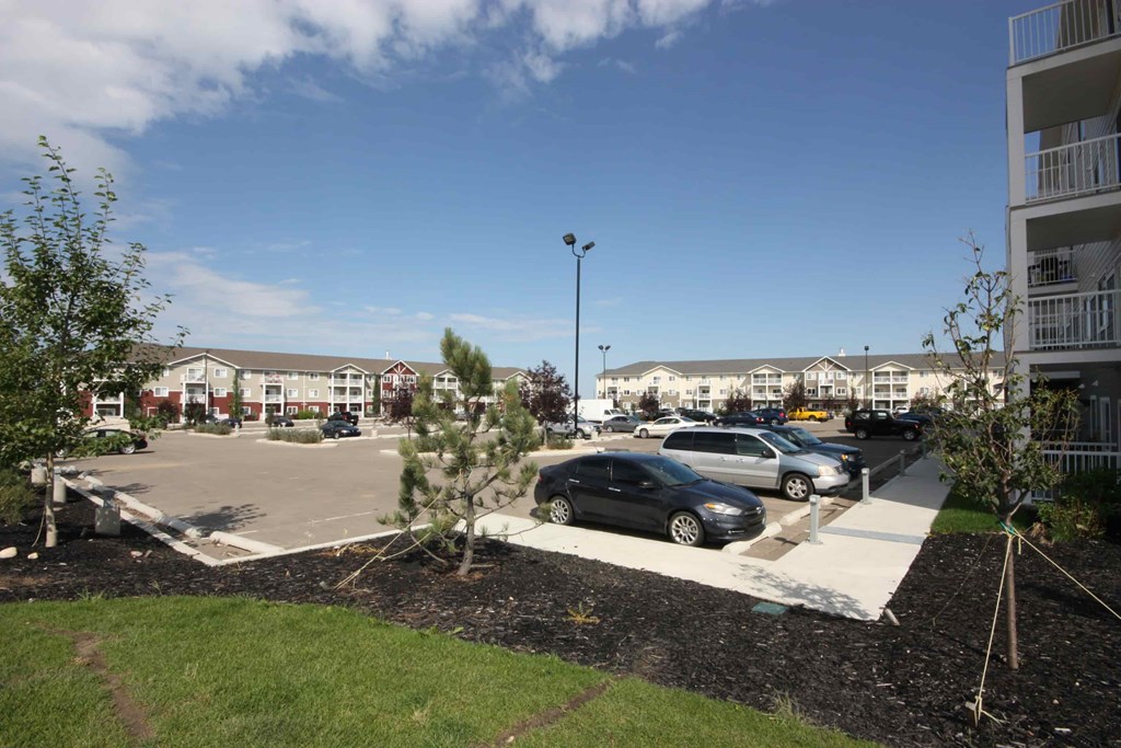A black car is parked in a parking lot.