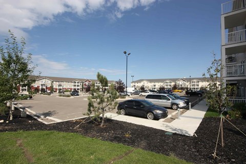 A black car is parked in a parking lot.