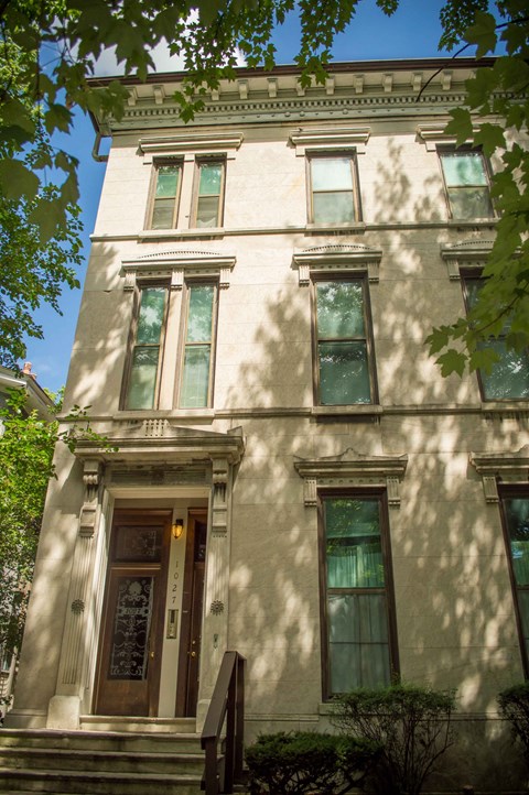 a building with green windows and a tree in front of it