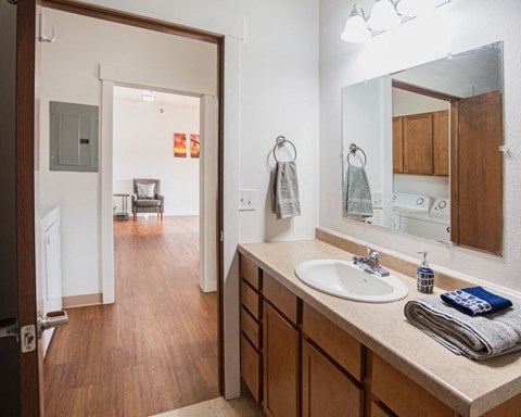 a bathroom with a sink and a large mirror