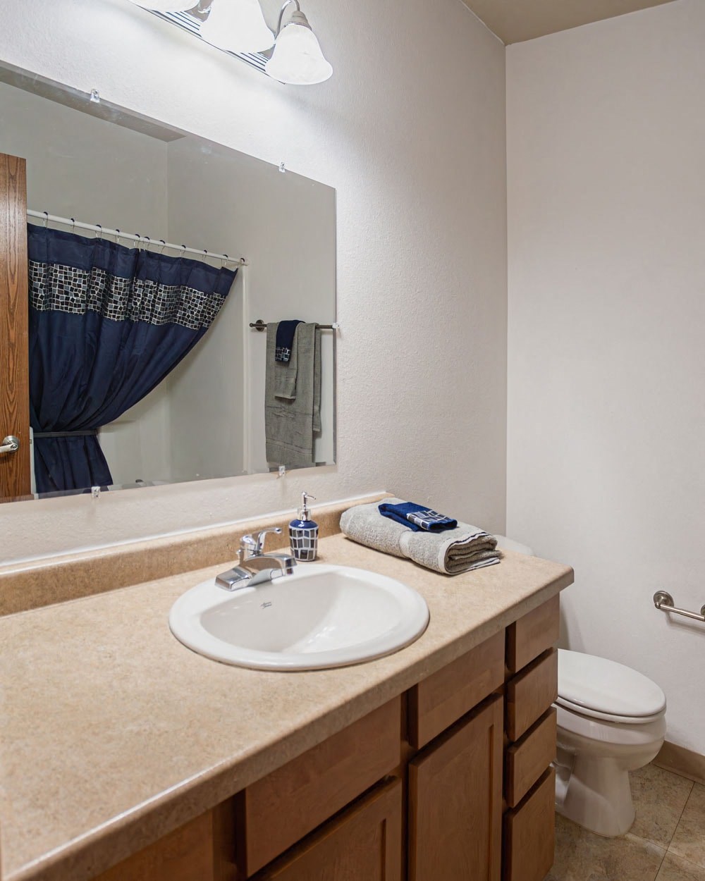 a bathroom with a sink and a toilet and a mirror
