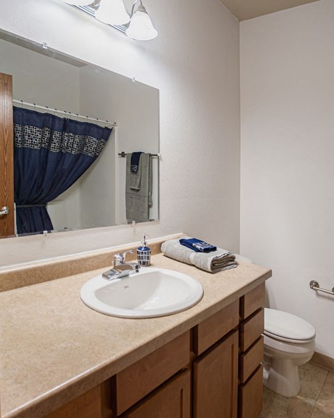 a bathroom with a sink and a toilet and a mirror