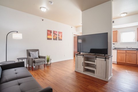 A living room with a grey couch and a television.