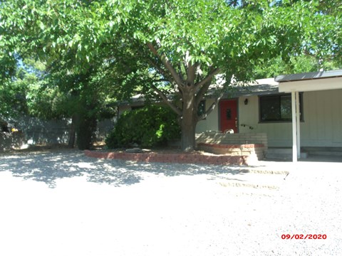 A tree in front of a house with a red door.