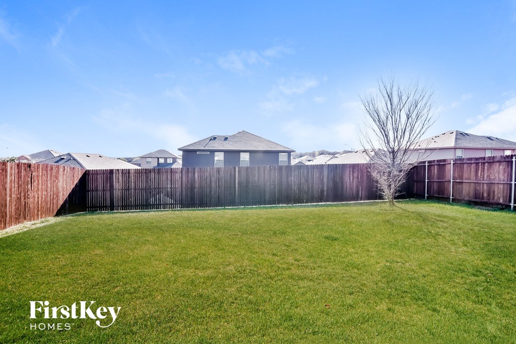 a fisheye view of a backyard with a fence and a tree