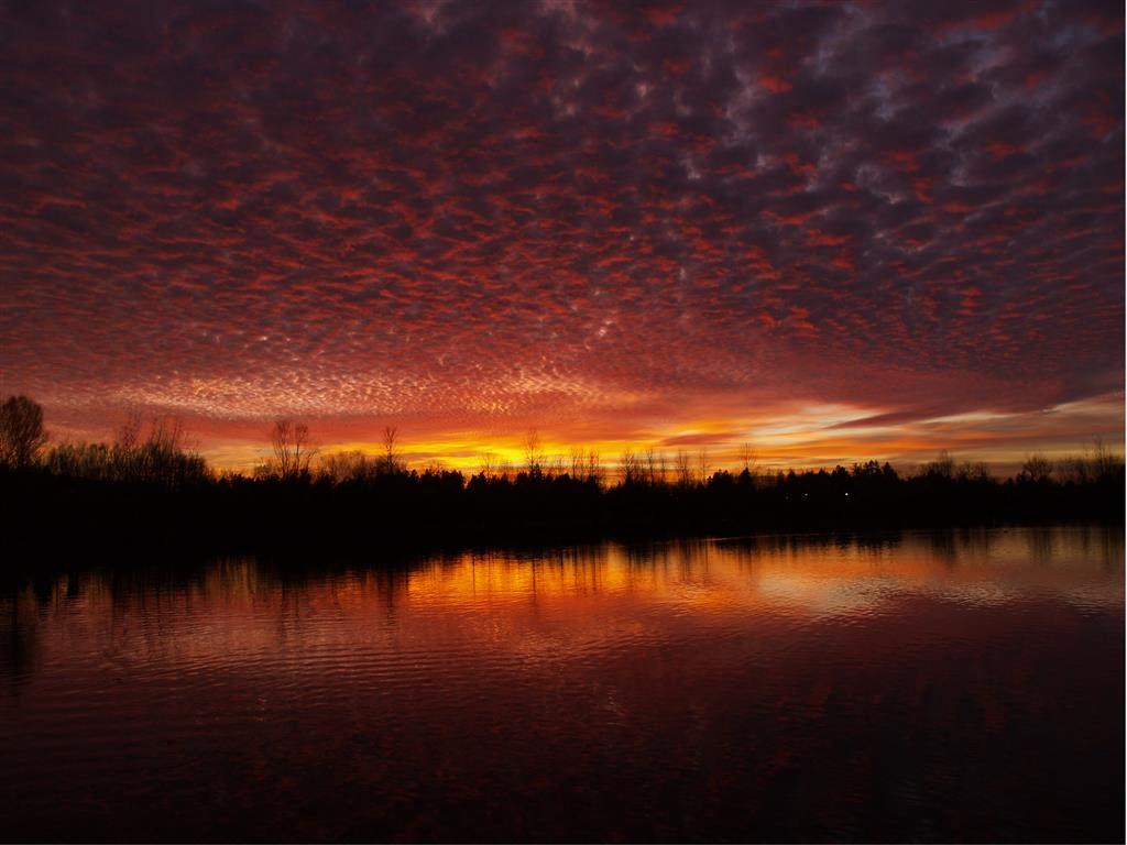 Apartments in Fairview for Rent - Image of the Lake at Dusk