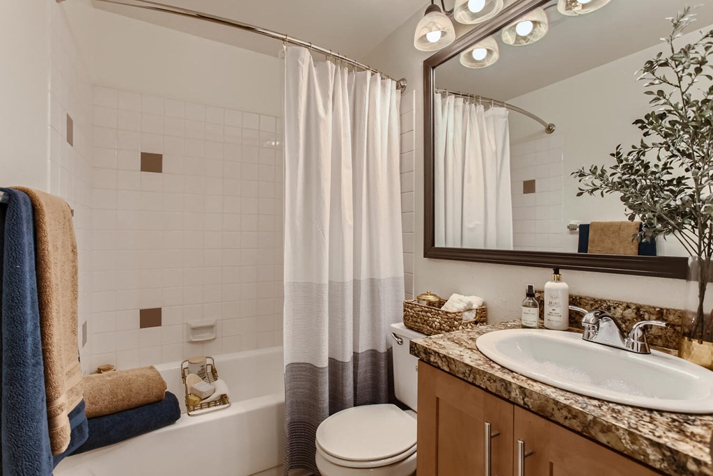 a bathroom with a sink and a toilet and a shower