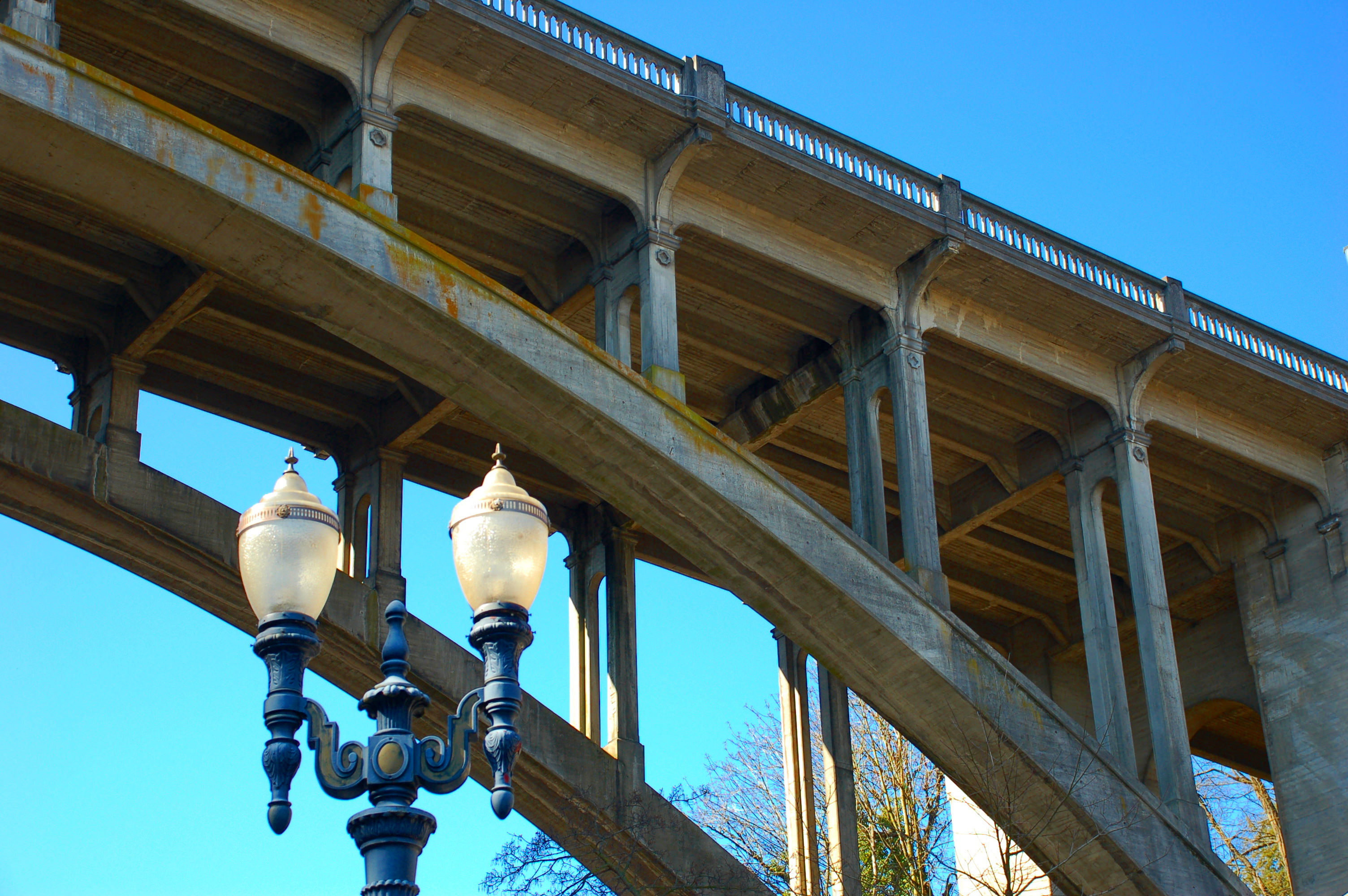 Apartments in Downtown Portland, OR Goose Hollow