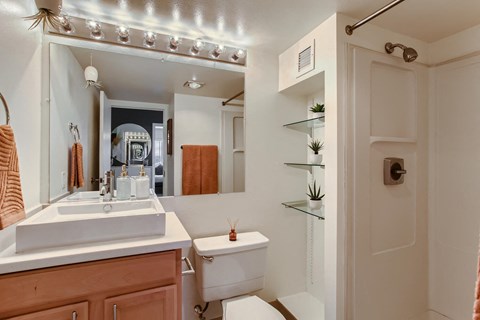 a bathroom with a toilet and a sink and a mirror