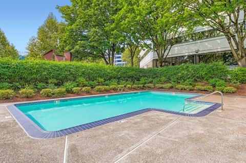 A rectangular pool surrounded by a concrete floor and a hedge.