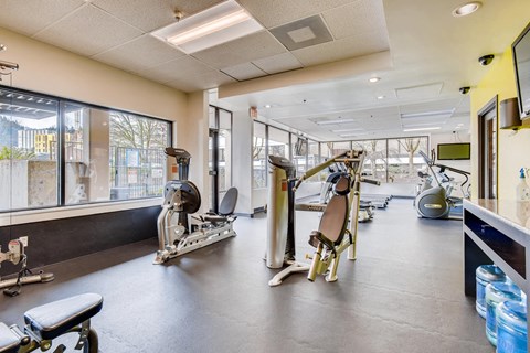 A gym with a variety of equipment including a treadmill, weights, and a bench press.