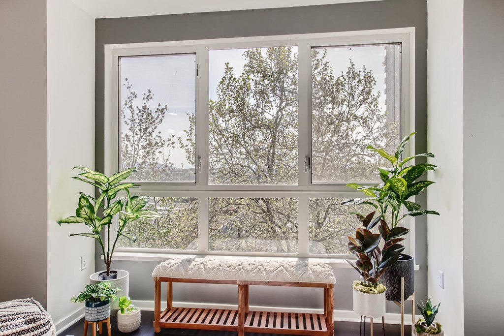 a window in a living room with a bench and plants