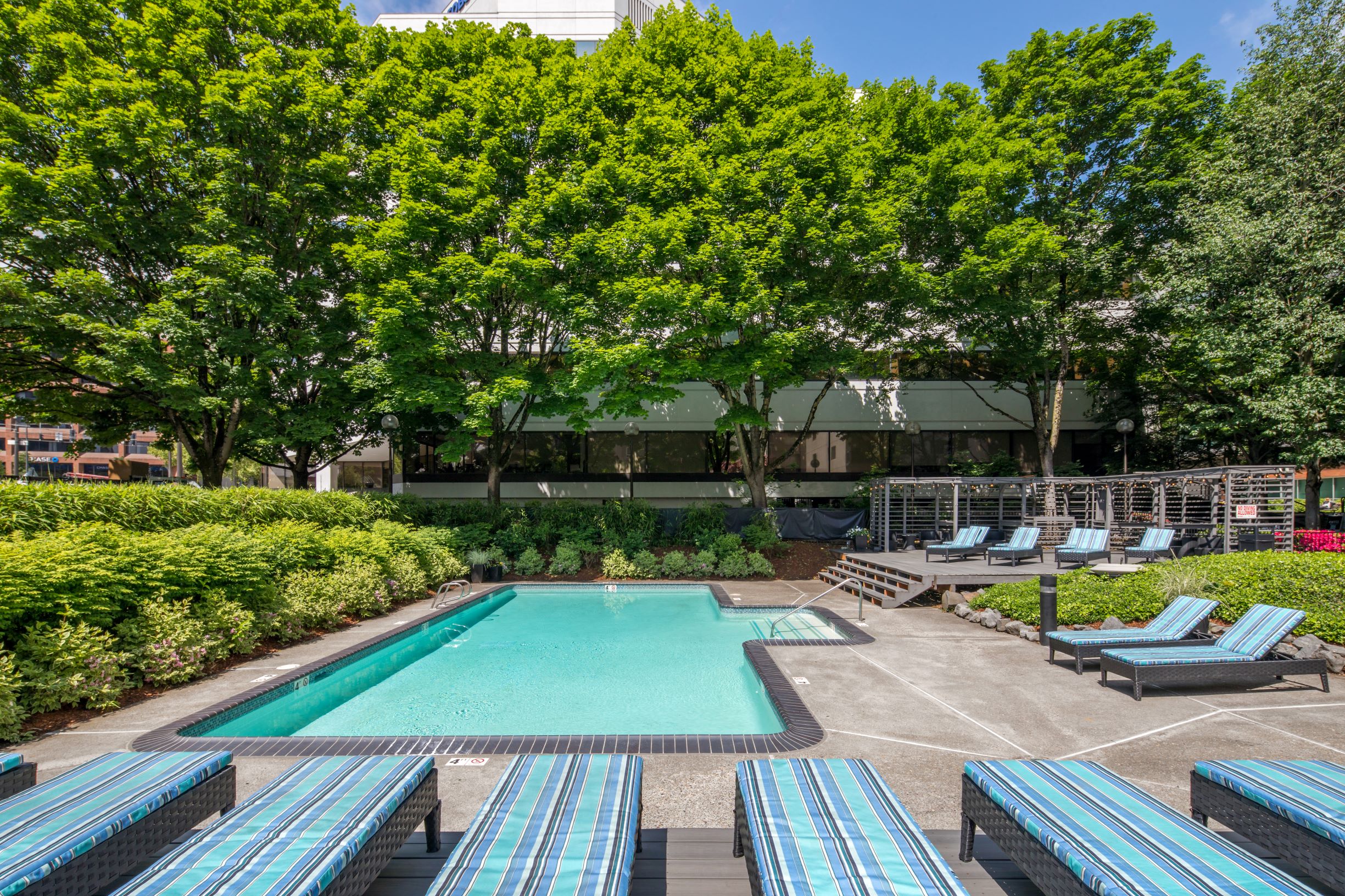 a pool with blue lounge chairs and trees