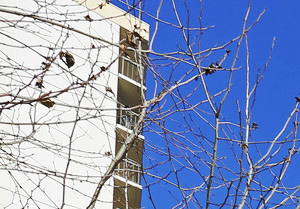 Downtown Portland Apartments View Our Photo Gallery