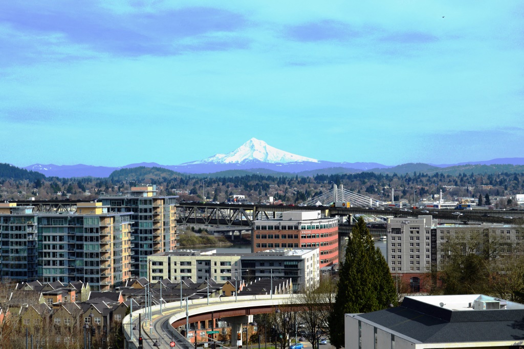 a view of the city with a snow covered mountain in the background