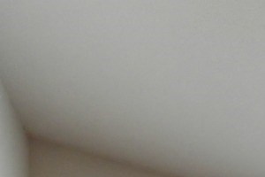 Bedroom with Large Window Bedroom with Large Window, Carpet through out but has a burgundy accent rug and abstract painting on wall and Low Elevated Mattress