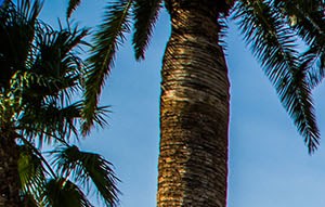 Vintage at The Lakes Apartment Homes | Best Apartments in Las Vegas