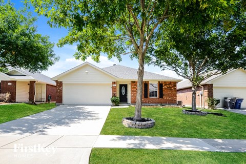 a suburban home with a tree in the front yard