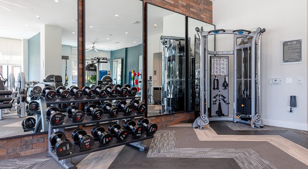 a home gym with a row of dumbbells in the center of the room