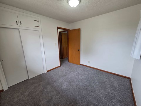 A room with a carpeted floor, a white door, and a brown door.