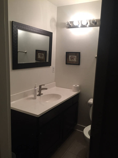 a bathroom with a sink and a mirror and a toilet