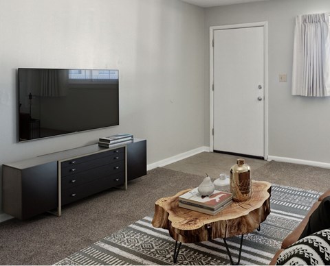 A living room with a television, a dresser, a coffee table, and a rug.