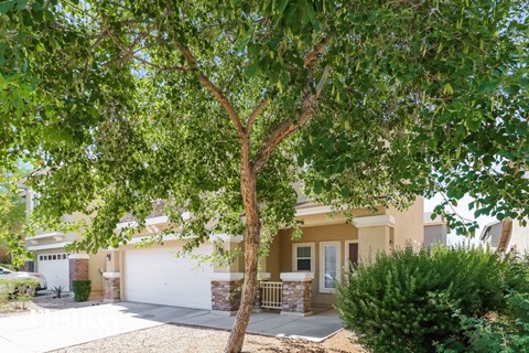 A tree in front of a house with a white garage door.