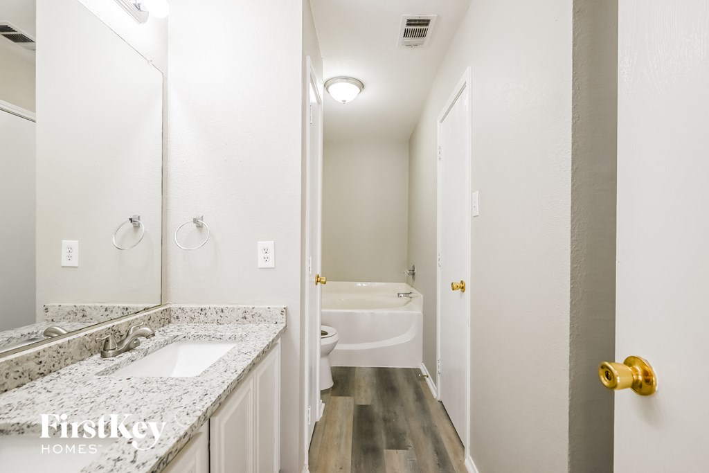 a bathroom with a sink and a toilet and a mirror