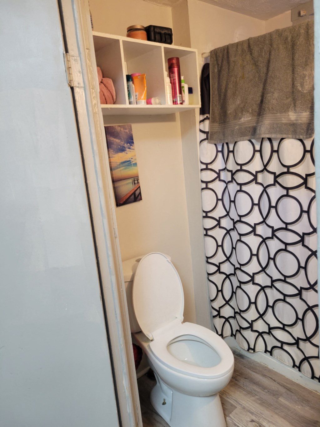 a small bathroom with a toilet and a shower curtain