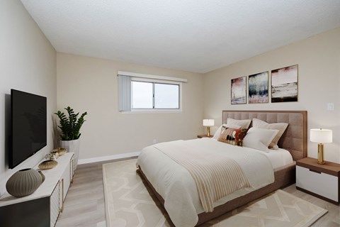 A bedroom with a large bed, a television, and a plant.