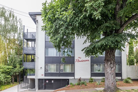 A tree in front of a grey building with a red sign that says Pendarosa.
