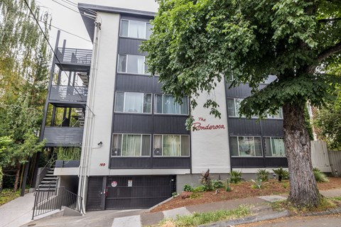 A black and white building with a tree in front of it.