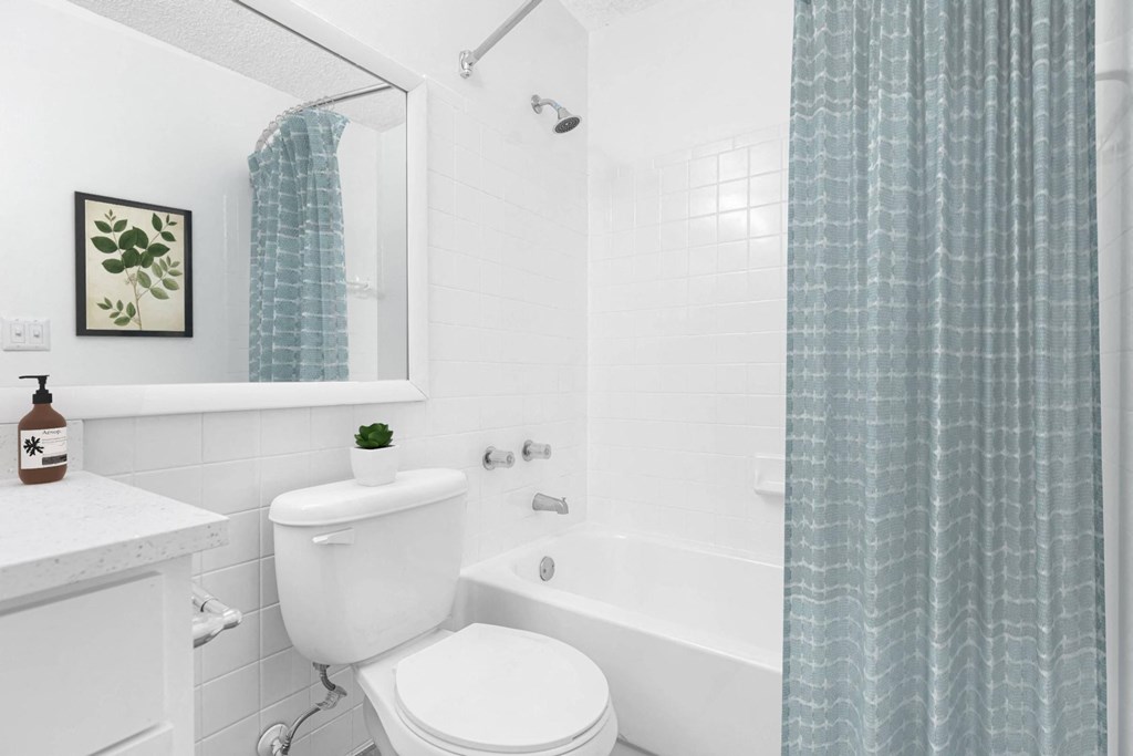 a white bathroom with a blue shower curtain and a toilet