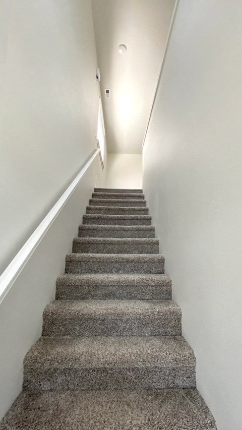 a flight of stairs with carpeting and white walls