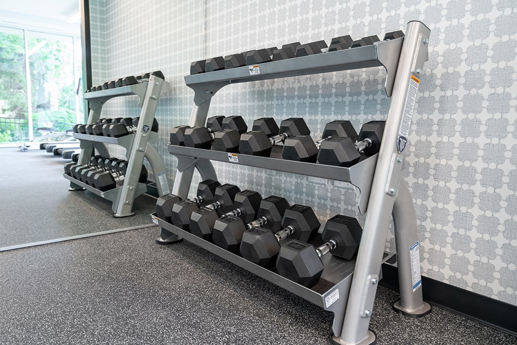 We have all the weights you could need  at Grand Flats, St. Louis, 63104