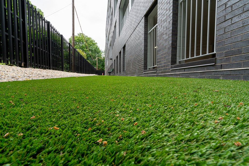 This is our puppy play area  at Grand Flats, St. Louis, MO, 63104