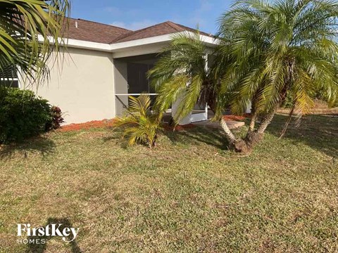 a house with a palm tree in front of it