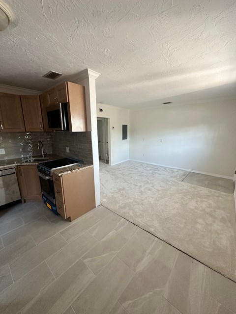 A kitchen with a dishwasher and a microwave.