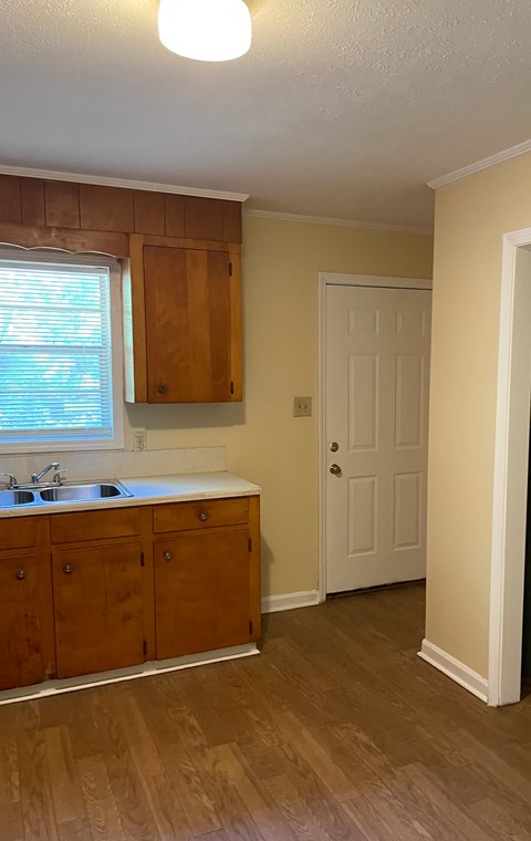 A kitchen with wooden cabinets and a white door.