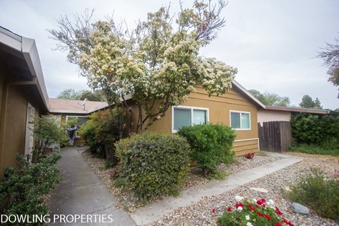 A yellow house with a tree in bloom in front of it.