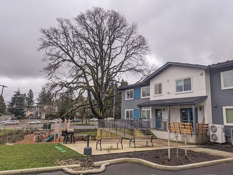 a house with a playground in front of it