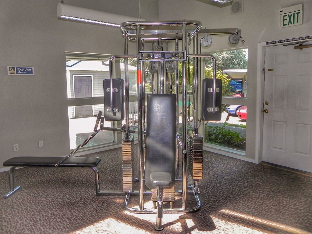 the exercise equipment in the gym is available for use