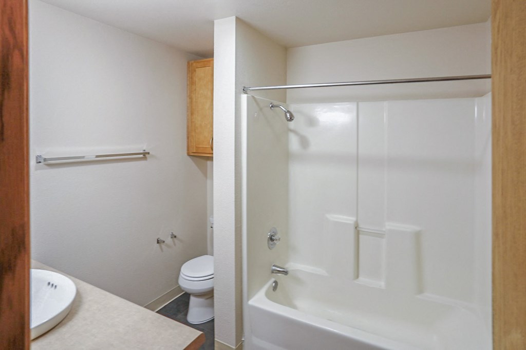 a bathroom with a shower and a toilet and a sink