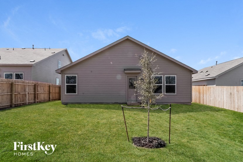 a backyard with a small tree and a house