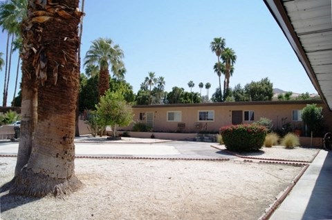 a courtyard with palm trees and a building in the background