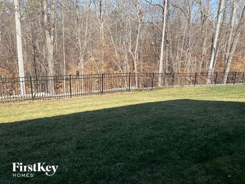 A grassy field with trees in the background and a fence running along the edge of the field.