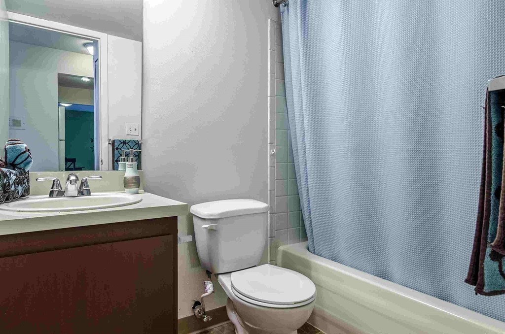 a bathroom with a toilet and a sink