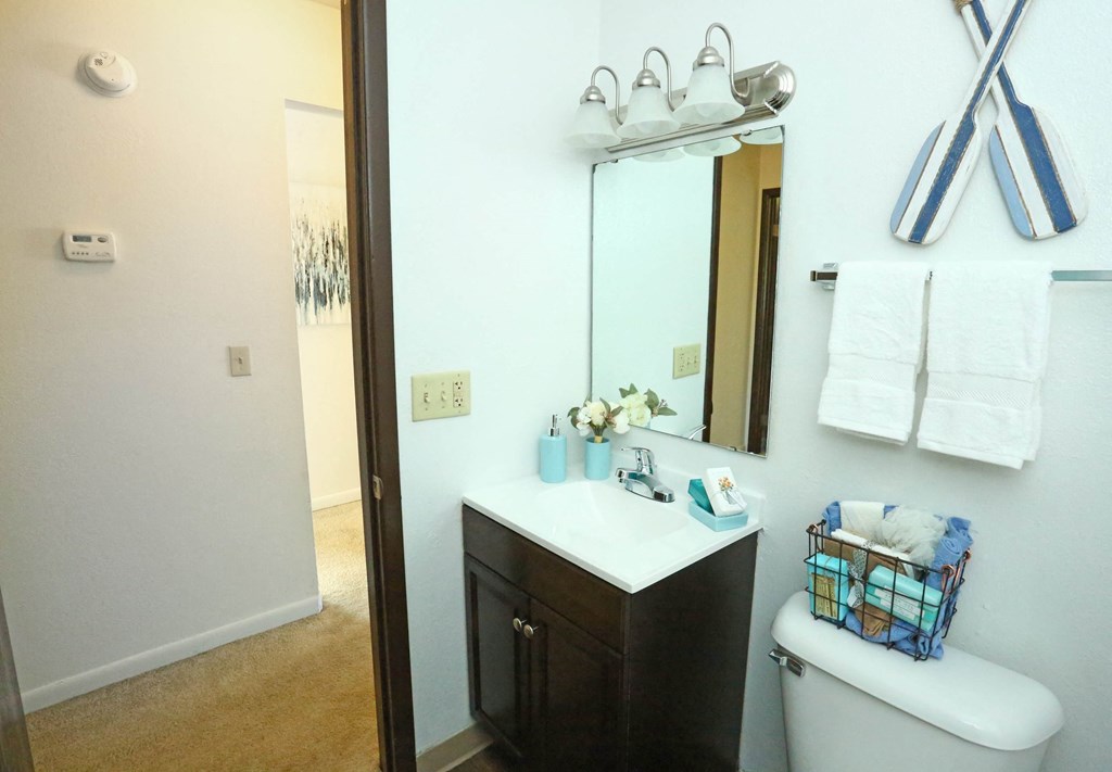 a bathroom with a mirror and a toilet and a sink