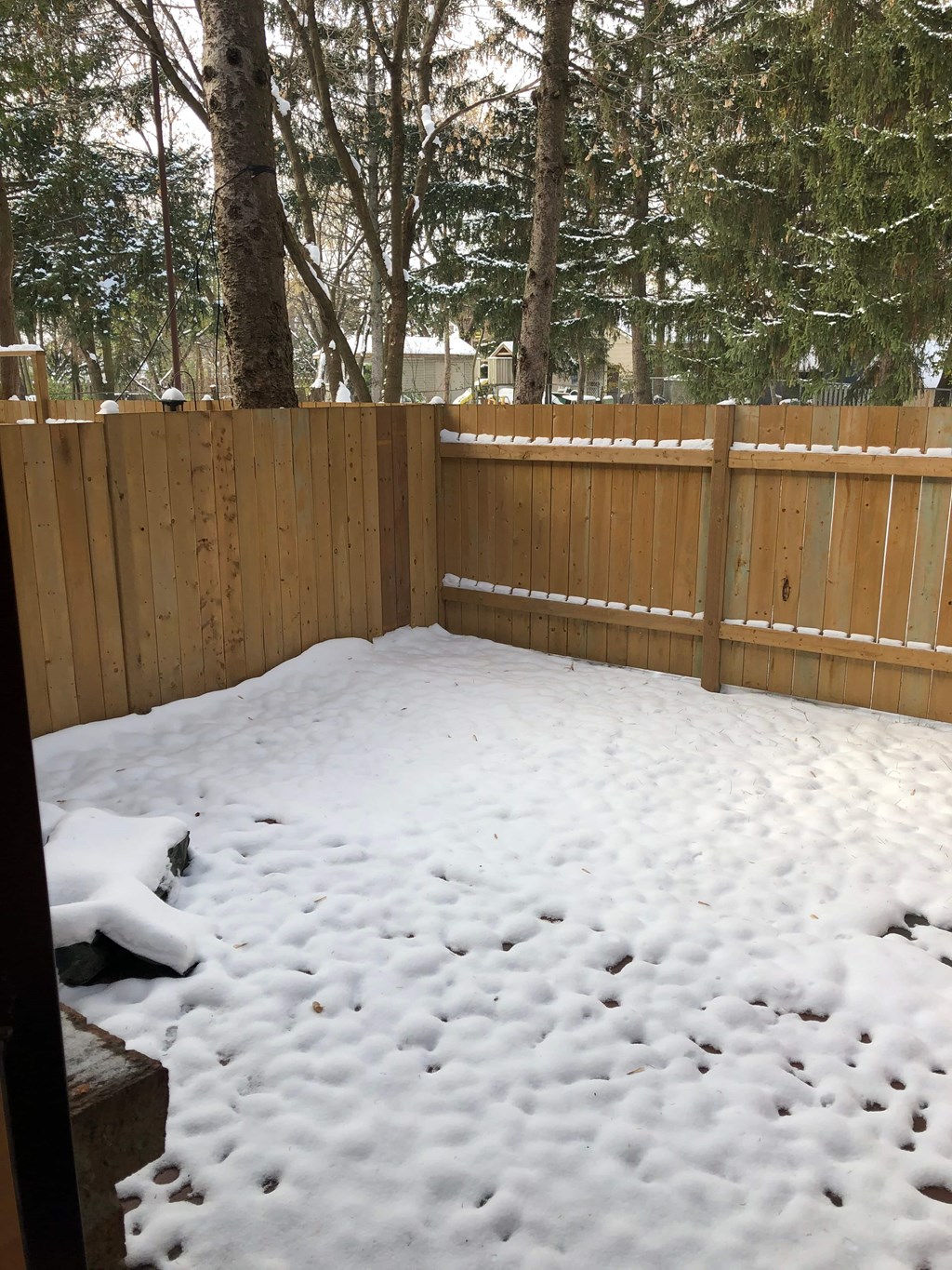 the back yard is covered in snow